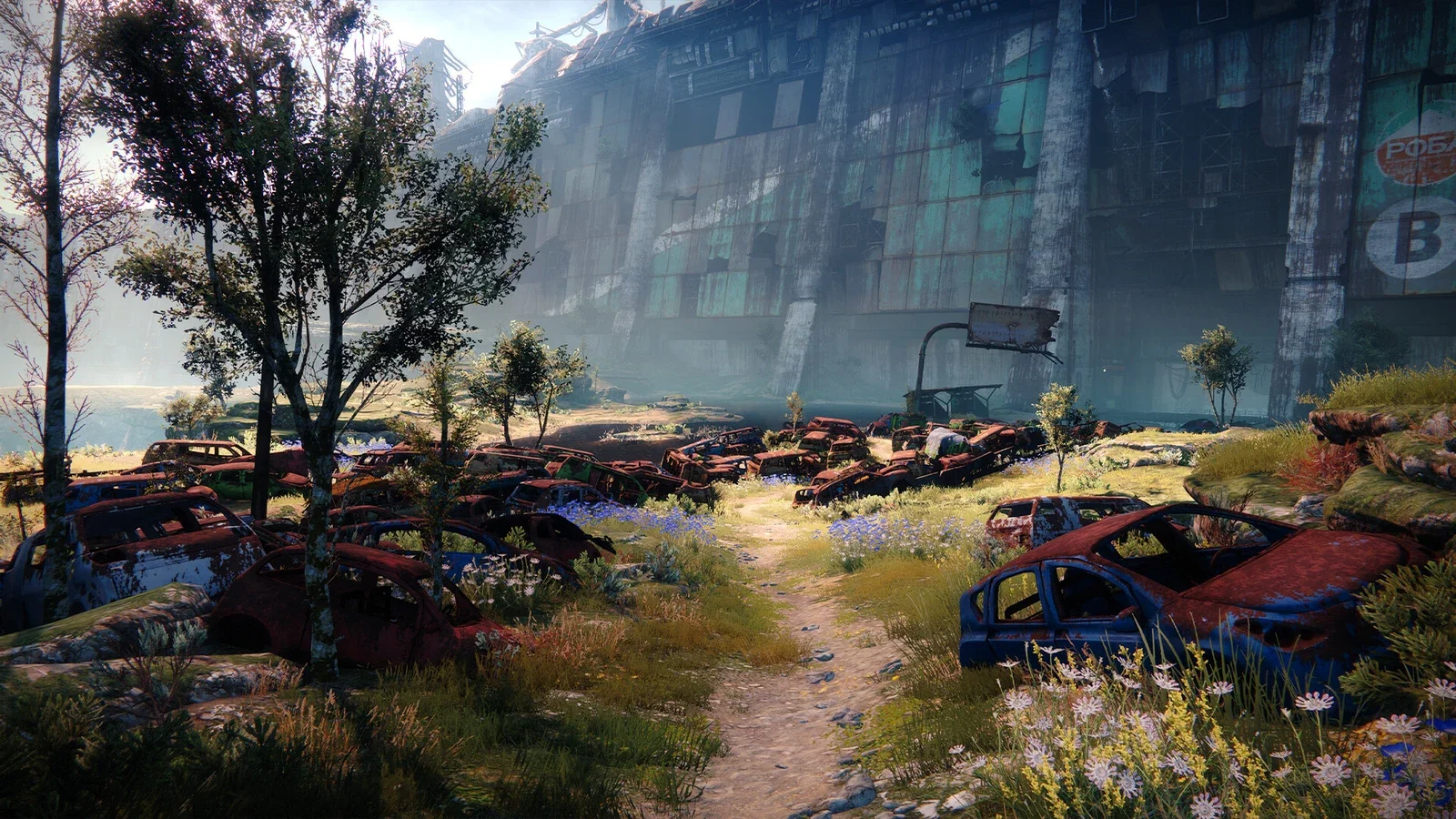 Rusted, overgrown cars fill a grassy path beneath a huge, crumbling concrete wall with faded signs, lit by hazy sunlight