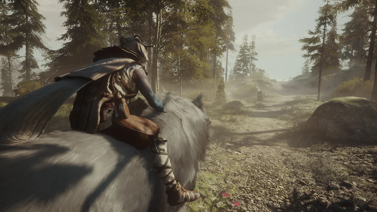 A rider in a hooded cloak on a large grey mount travels along a dirt path through a pine forest on a misty day