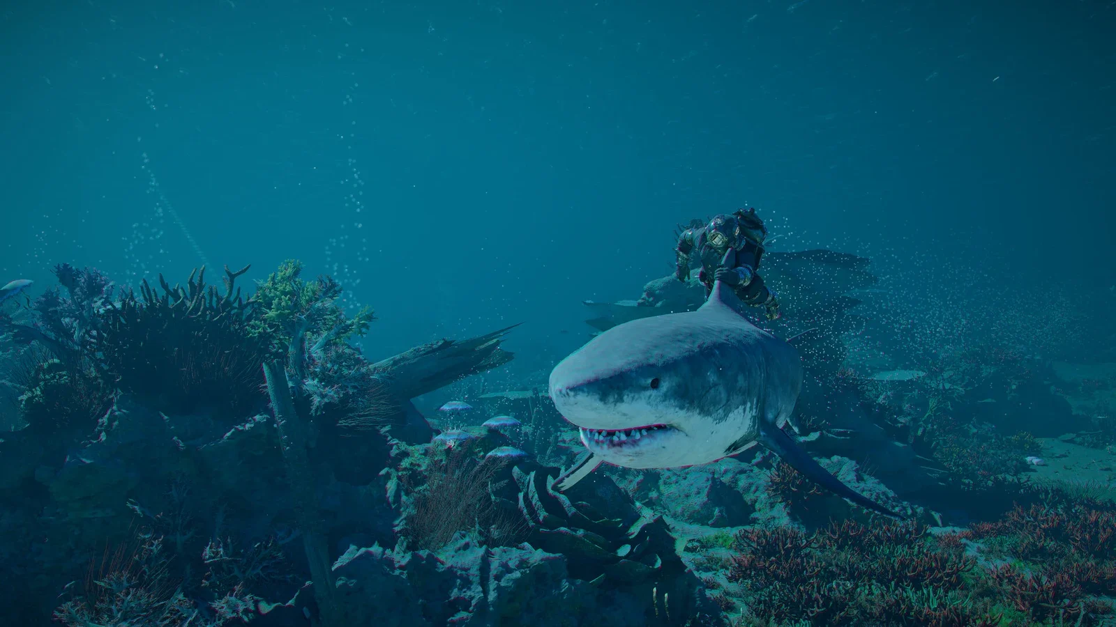 A shark swims through clear blue water above a reef with coral, kelp and sunken rocks in Crimson Desert's underwater world